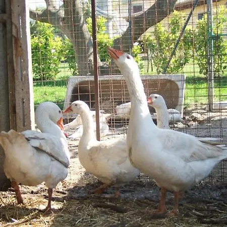 Agriturismo Il Sesto Senso Alloggio per agriturismo Ladispoli