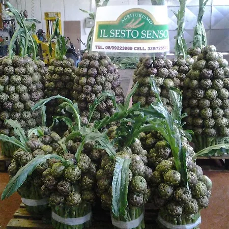 Agriturismo Il Sesto Senso Alloggio per agriturismo