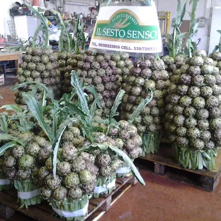Agriturismo Il Sesto Senso Ladispoli